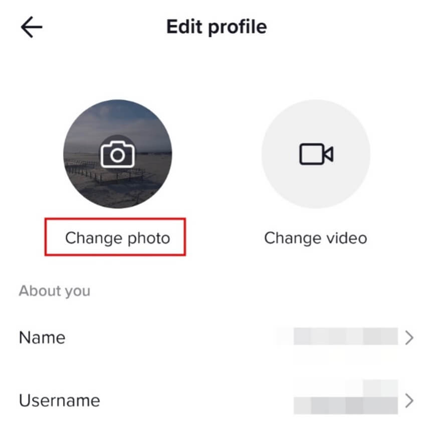 TikTok profile picture (pfp): How to upload and change it - IONOS CA