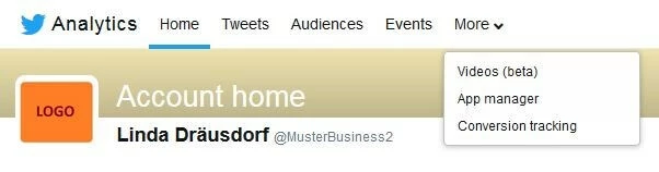 Screenshot of the Twitter Analytics navigation bar