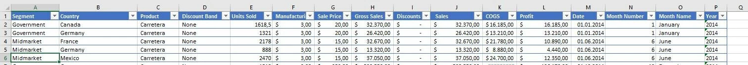 An example table with a selected row in Excel 2016