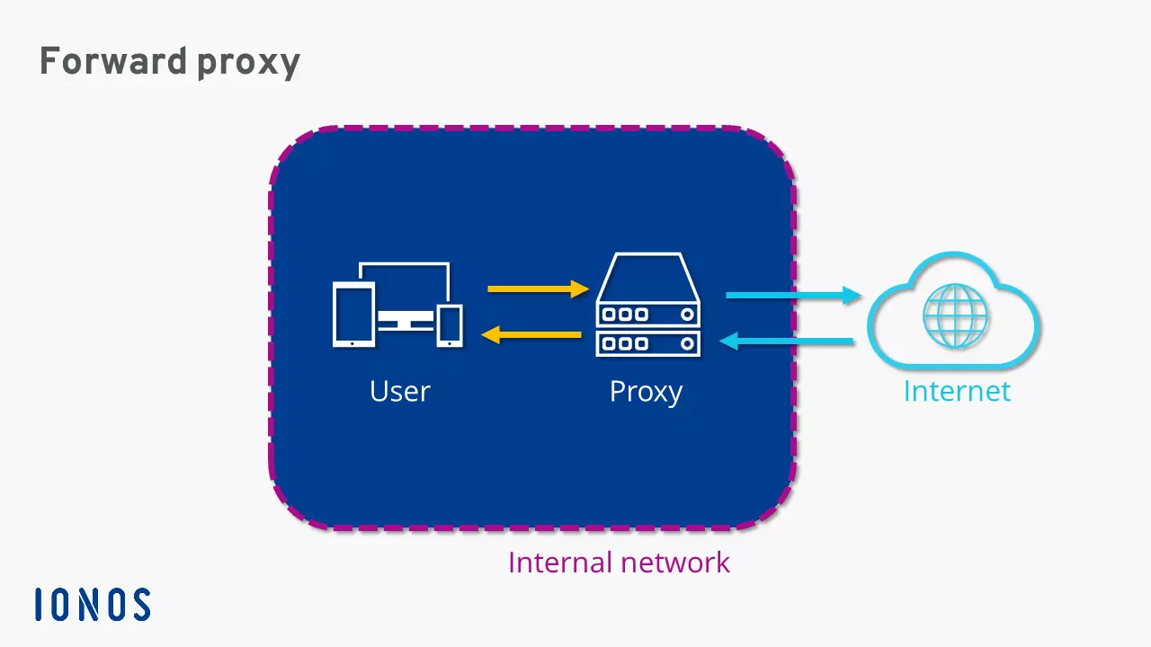 Schematic representation of a forward proxy