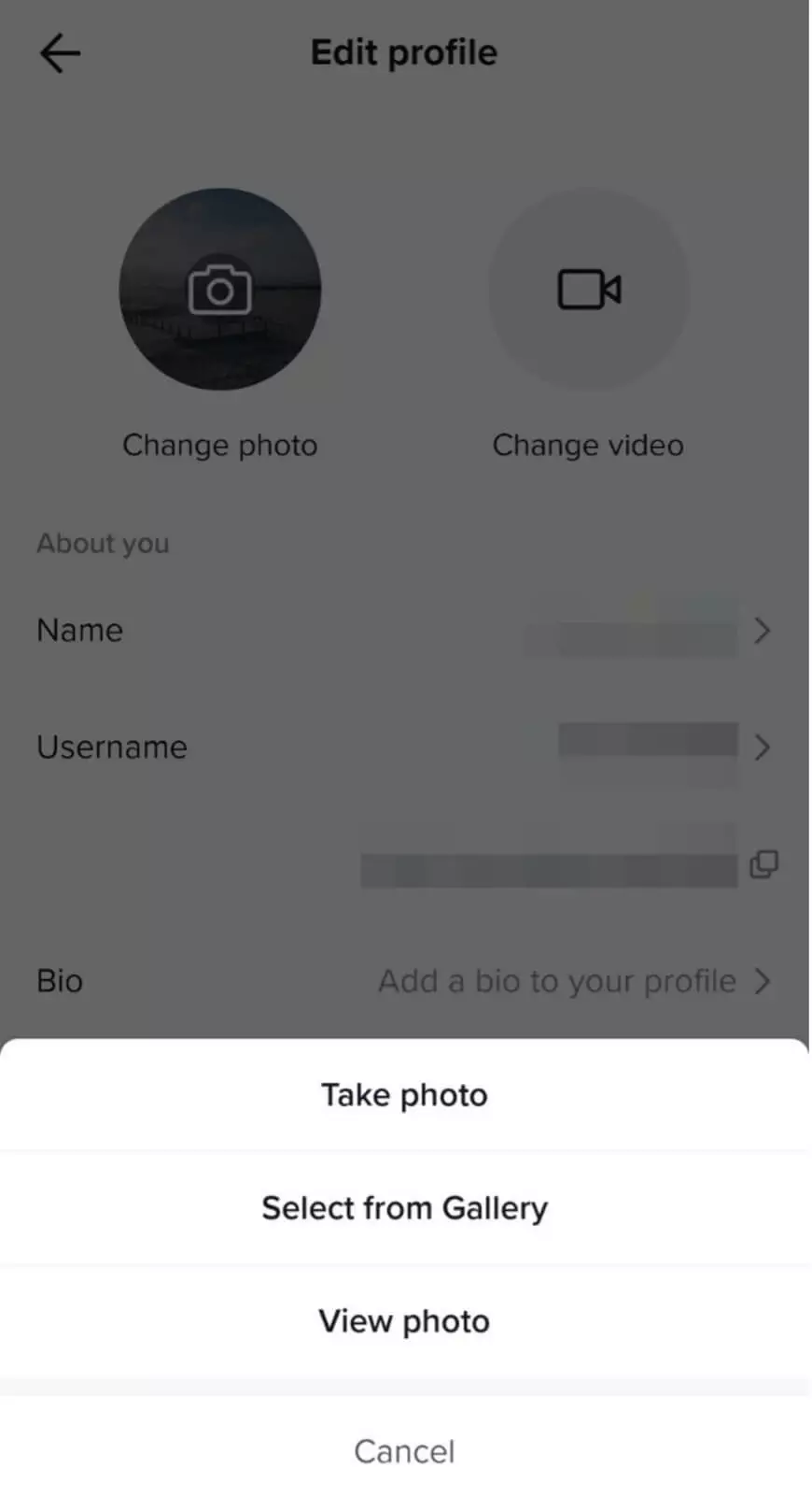 Photo selection in the TikTok profile