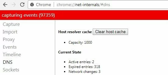 Google Chrome: "Net Internals" menu