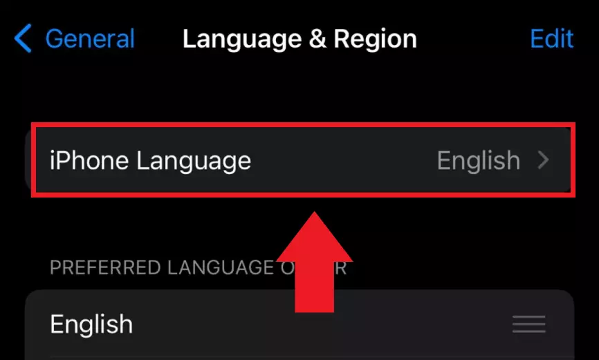 The iOS menu item “iPhone Language” with the currently selected system language