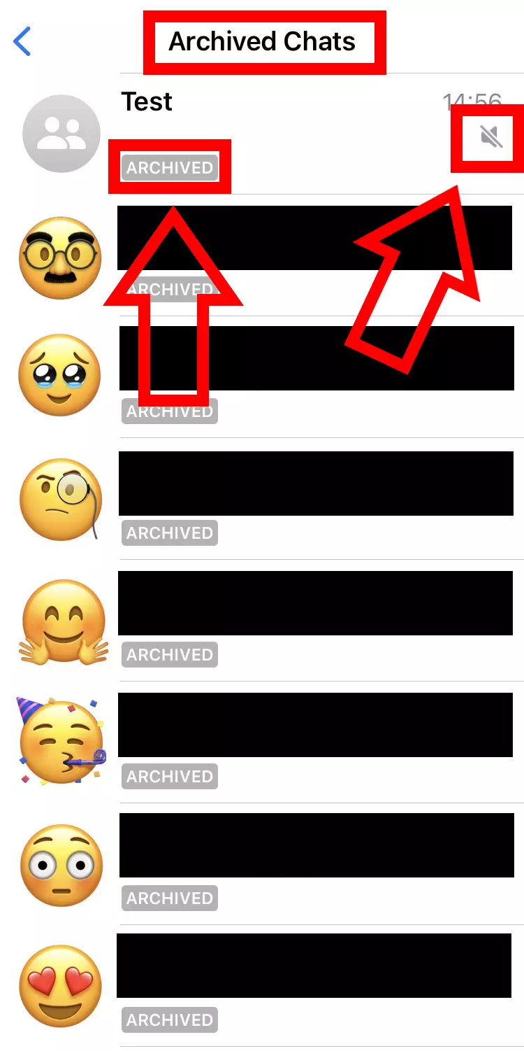 iPhone screenshot of archived chats in WhatsApp