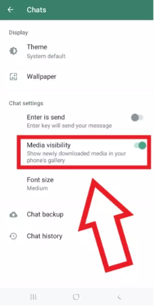 Android screenshot, “Media visibility” enabled