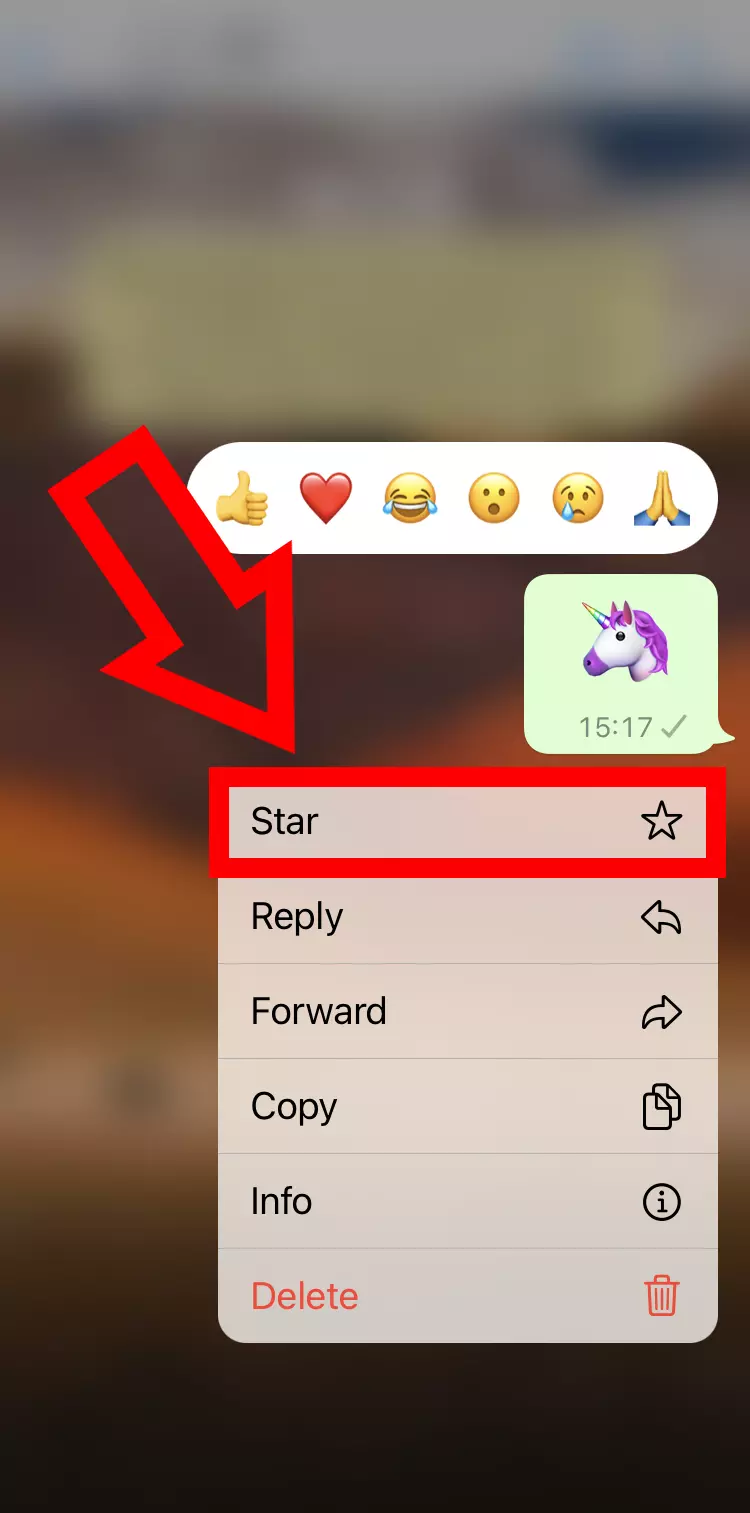 iPhone screenshot with the Star feature in WhatsApp