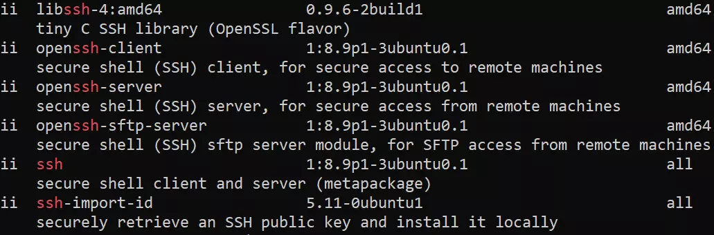 Terminal: Installed OpenSSH package