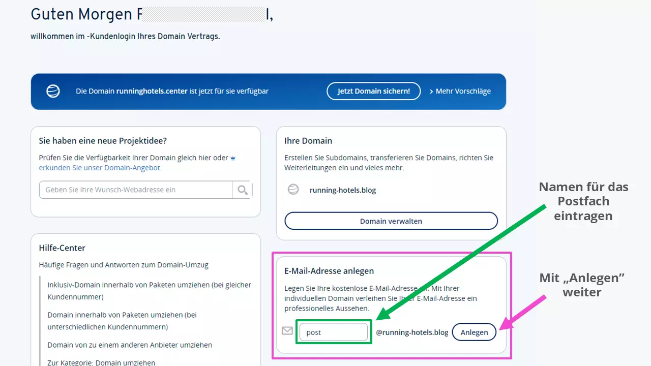 Domain overview in the customer account