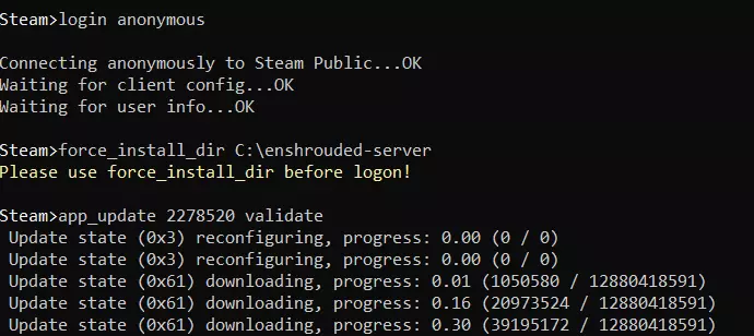 Enshrouded server: Installation using SteamCMD