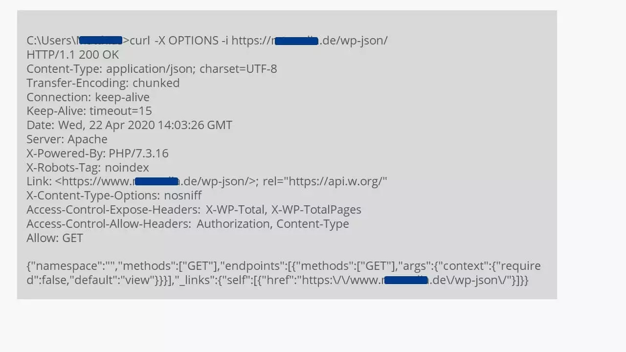 WordPress REST API via the command prompt