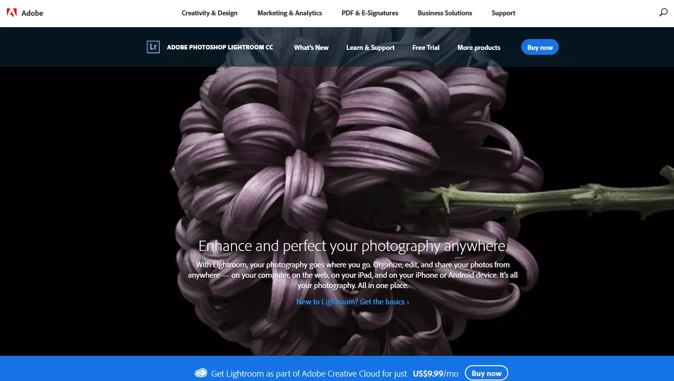 View of the Lightroom website