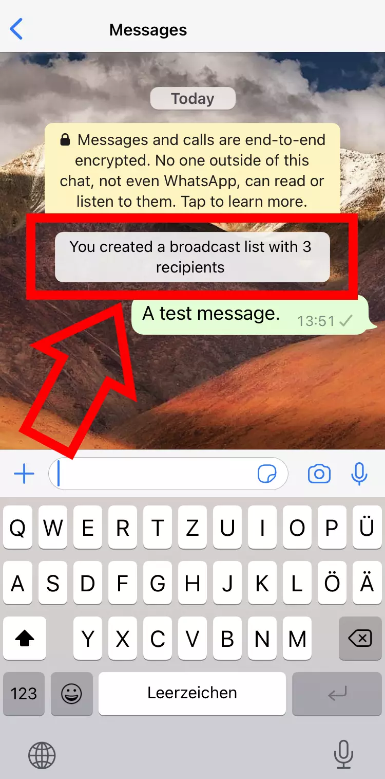 iPhone screenshot of a WhatsApp broadcast list