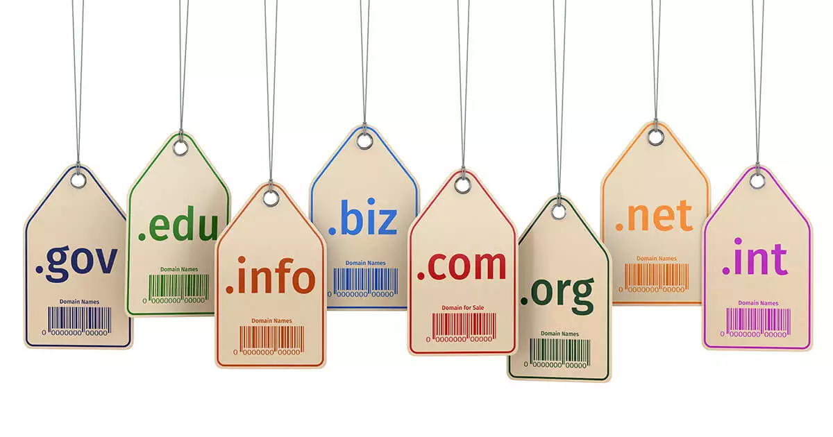 What is a domain registrar?