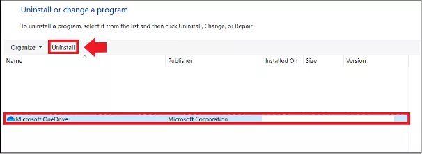 The list of the programs in the Windows Control Panel