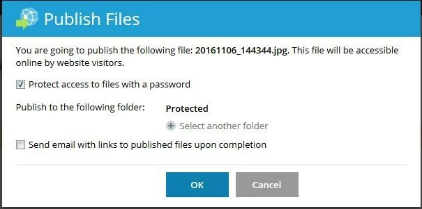 Window for Plesk file sharing