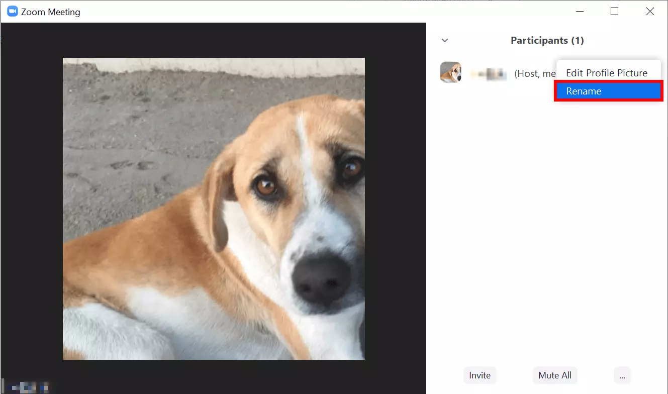 Change the Zoom name in the meeting via the participant list.