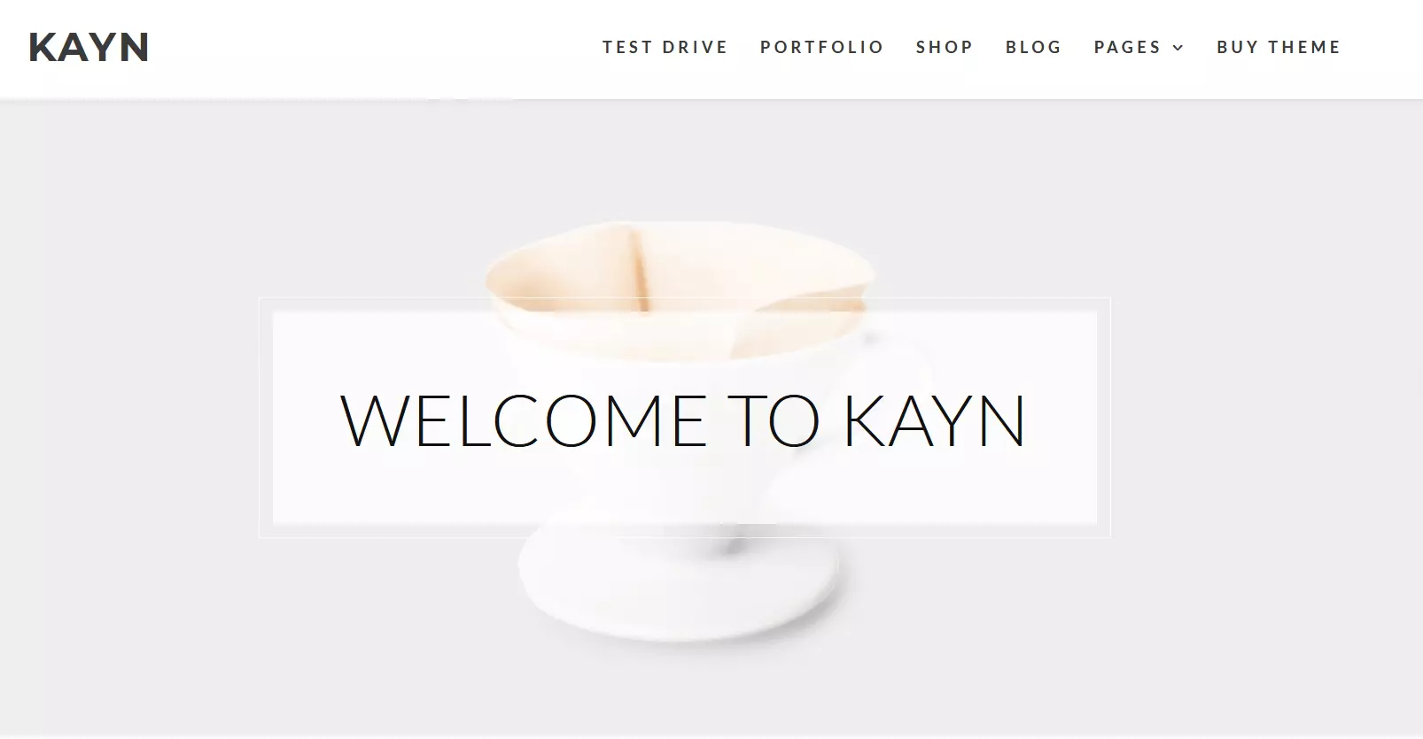 WordPress template “Kayn” by WP-Royal