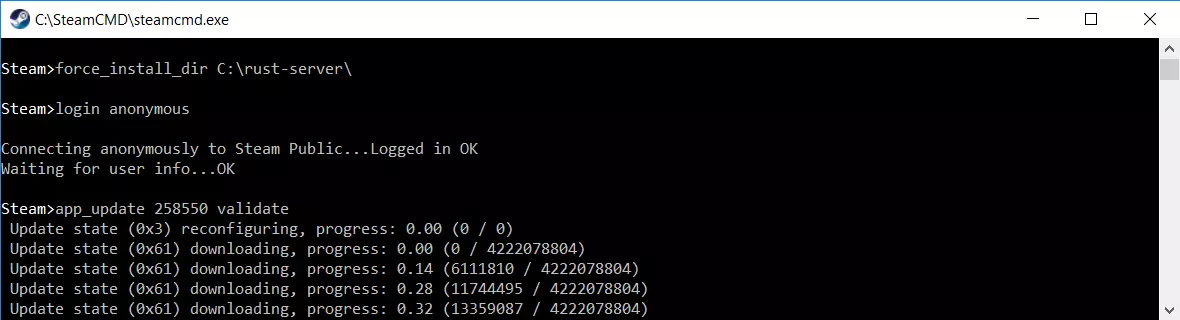 Installing the Rust server via the “Steam>” input line