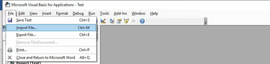 The “Import File” option in the Visual Basic Editor