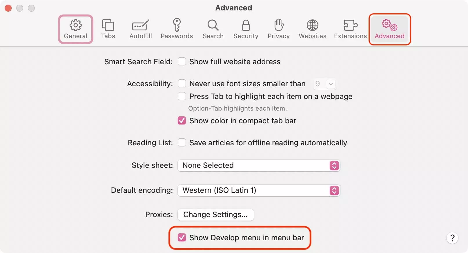 Activated “developer” menu in Safari’s advanced settings