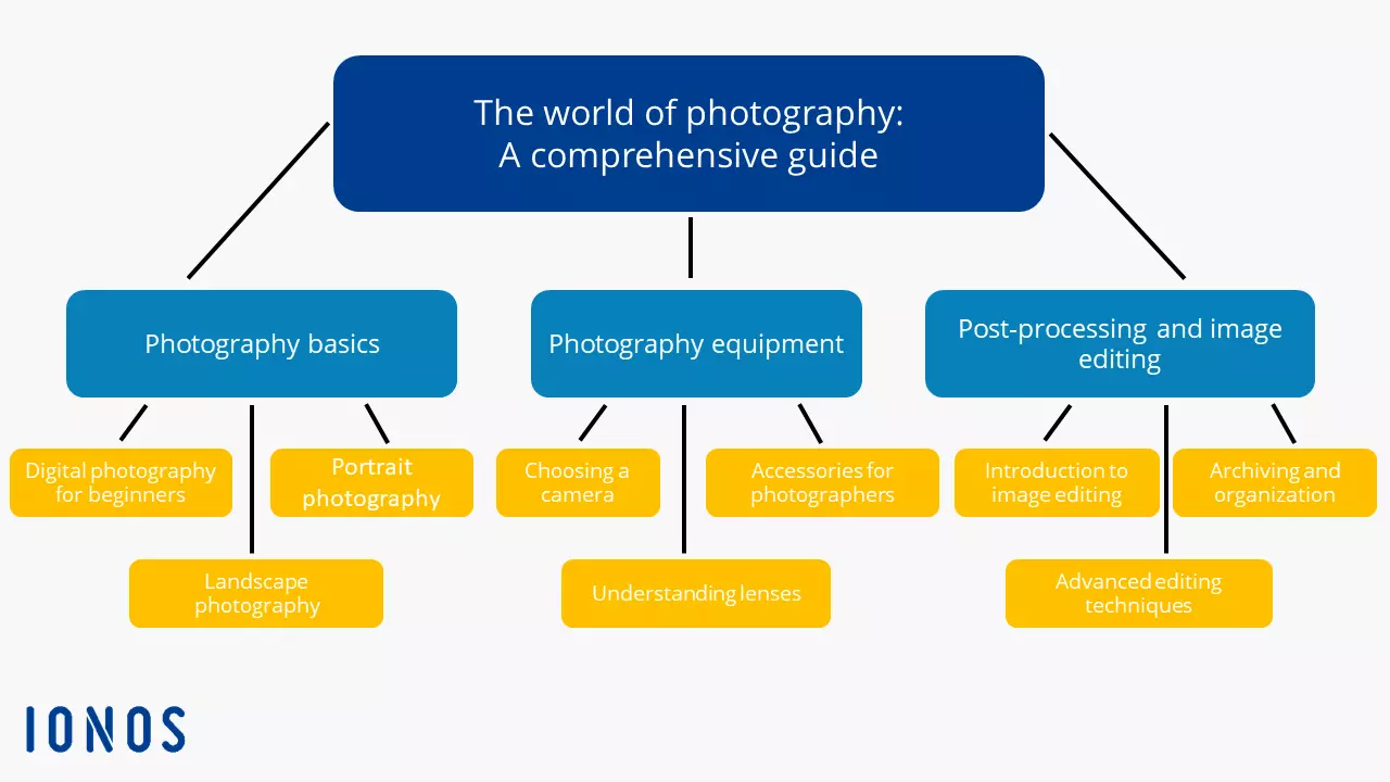 Hub page example: The world of photography