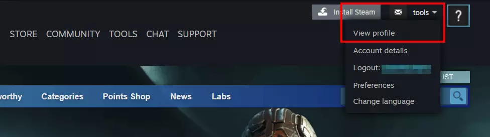 Profile menu in the Steam browser version