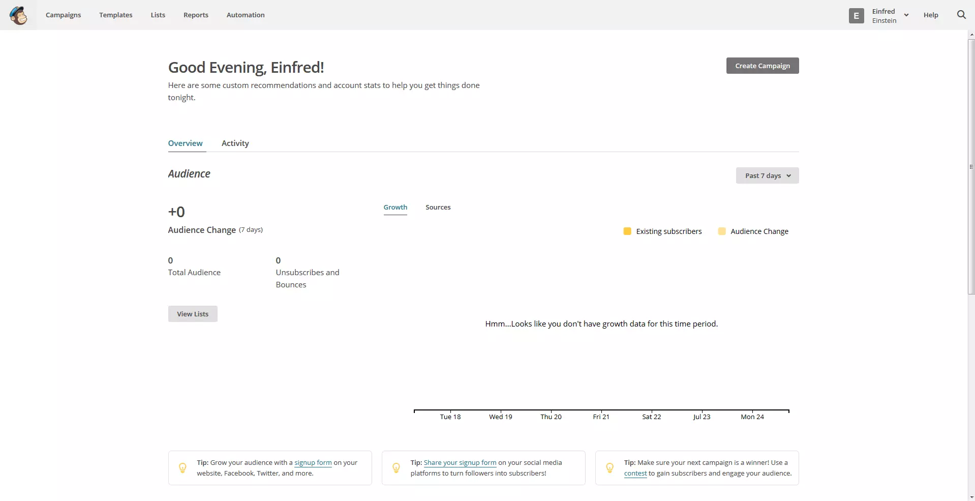 Overview page of MailChimp