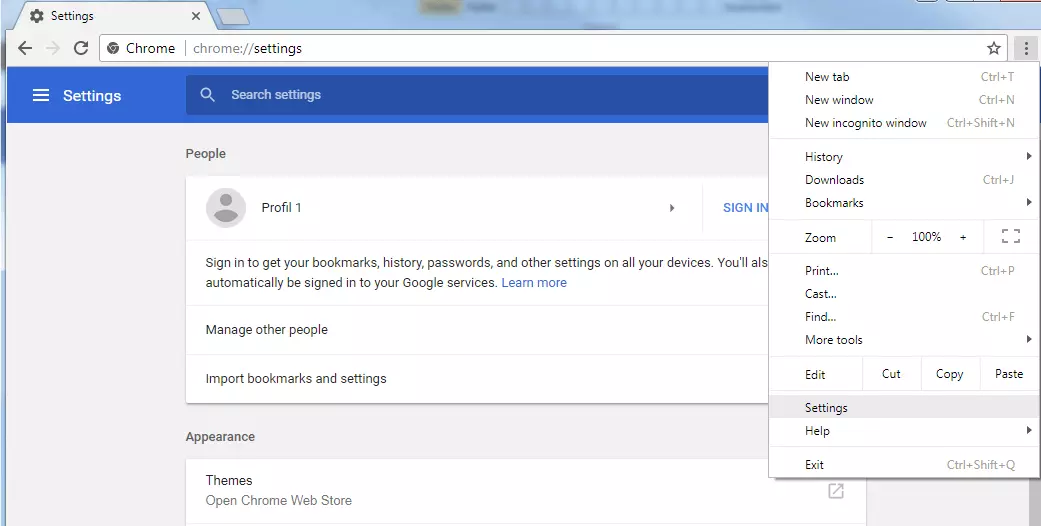 Google Chrome: Settings