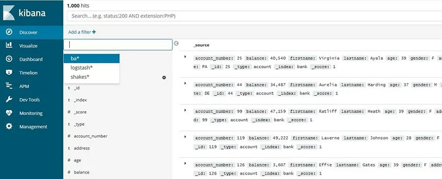 Kibana: list of the entries of a fictitious data set