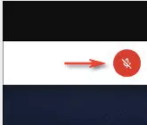 Google Meet: Muting participants