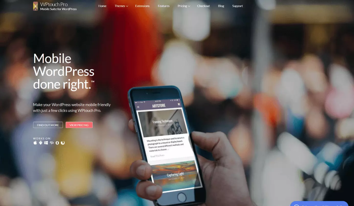 Screenshot of WPtouch Pro website