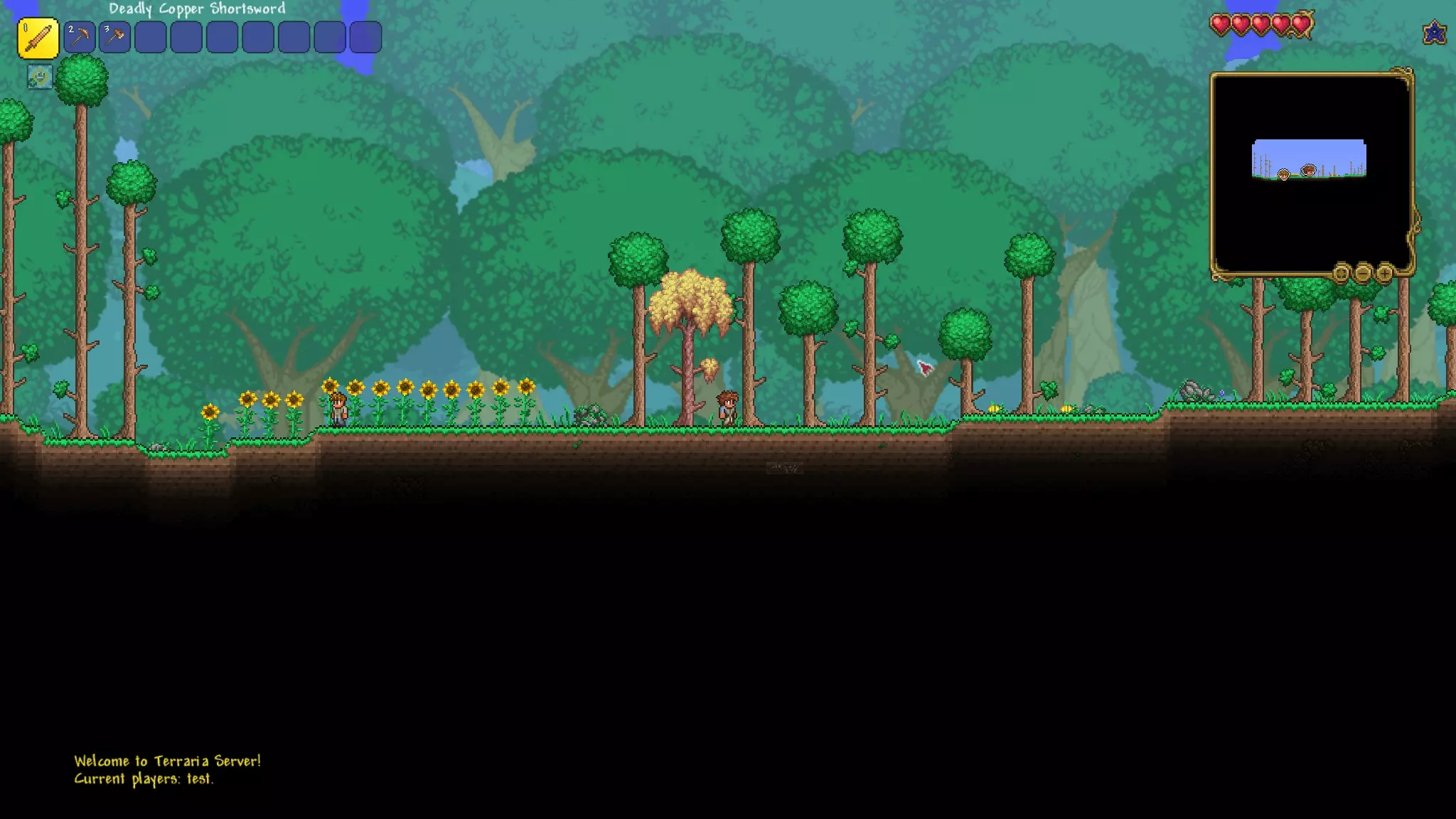 Screenshot from Terraria