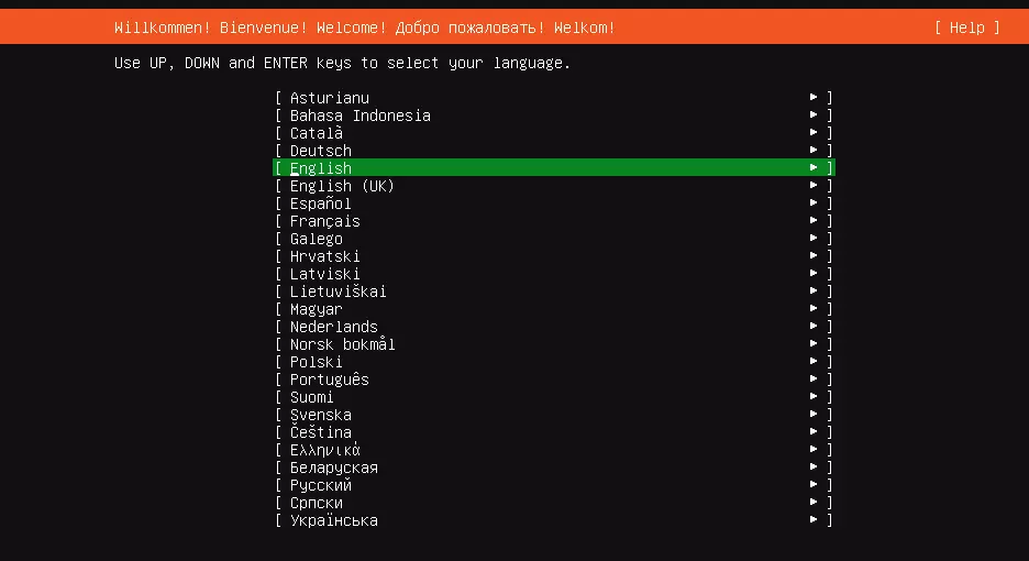 Ubuntu server installation: Language selection