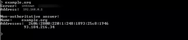 nslookup in Windows: query for example.org domain