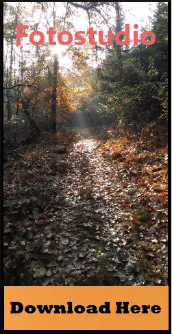 Advertising banner with an autumn forest background