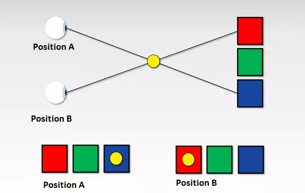 graphical representation of the thumb