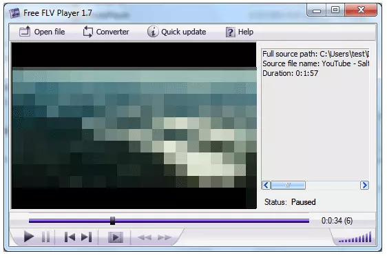 View of the Free FLV Player