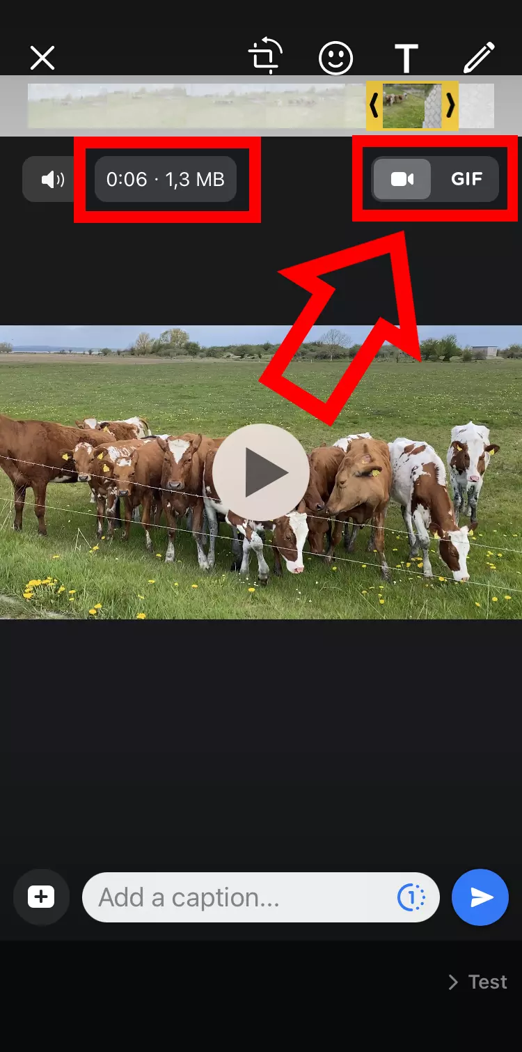 iPhone screenshot of cutting a video in WhatsApp with the GIF button