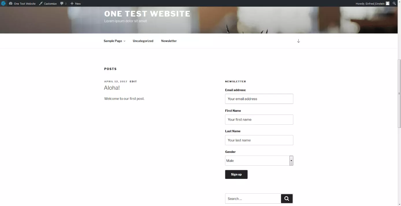 registration form as a widget in the frontend view