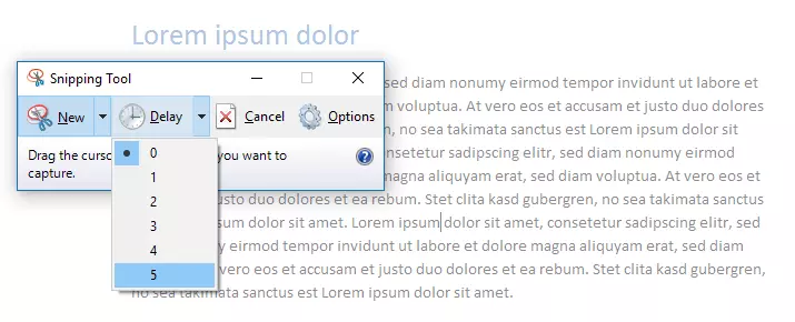 “Delay” function in the Windows 10 Snipping Tool