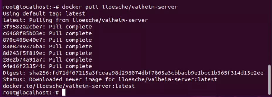 Valheim Docker: Pull via Terminal