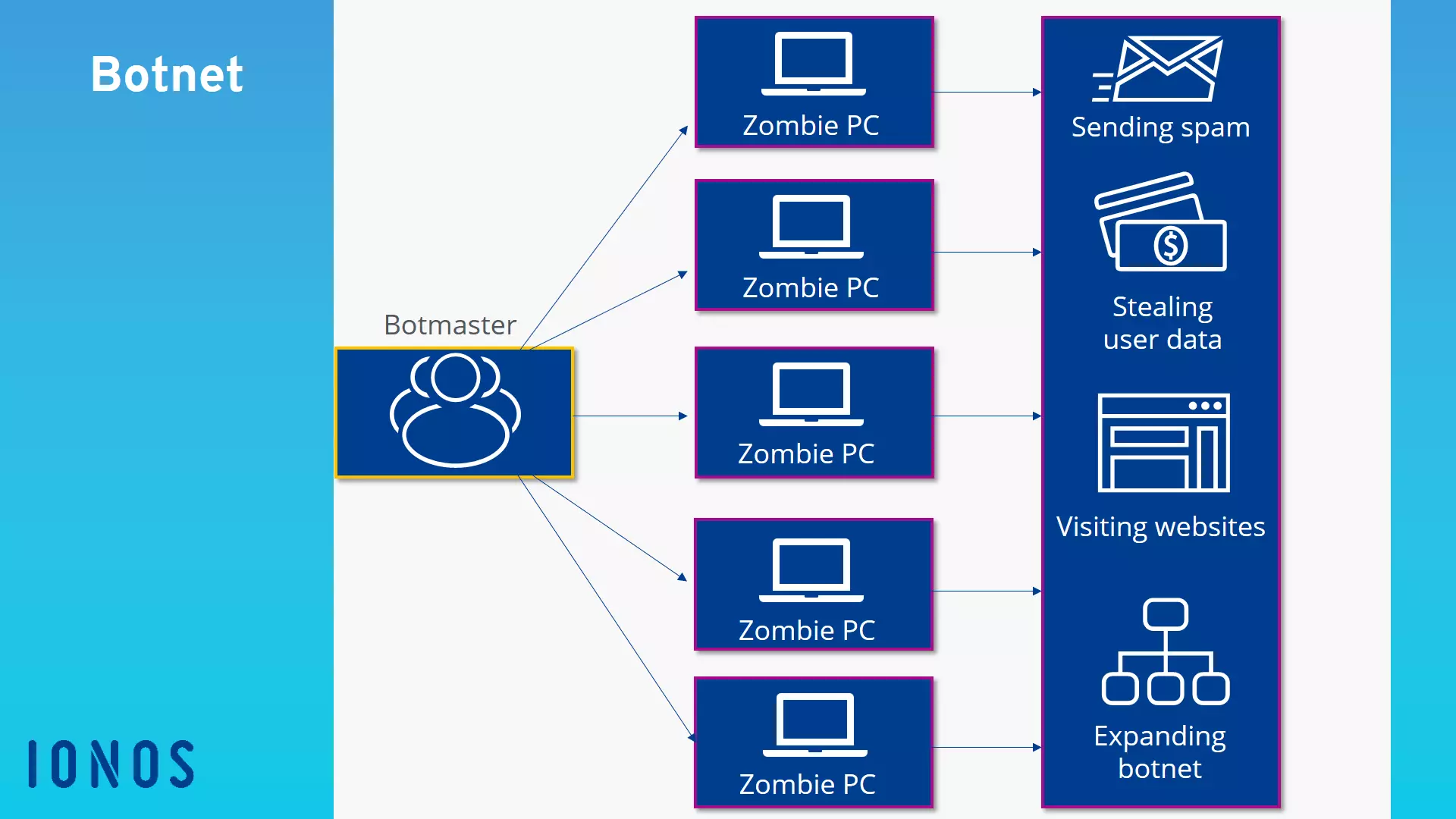 Structure of a botnet