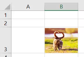 A picture in Excel adjusted to the cell size