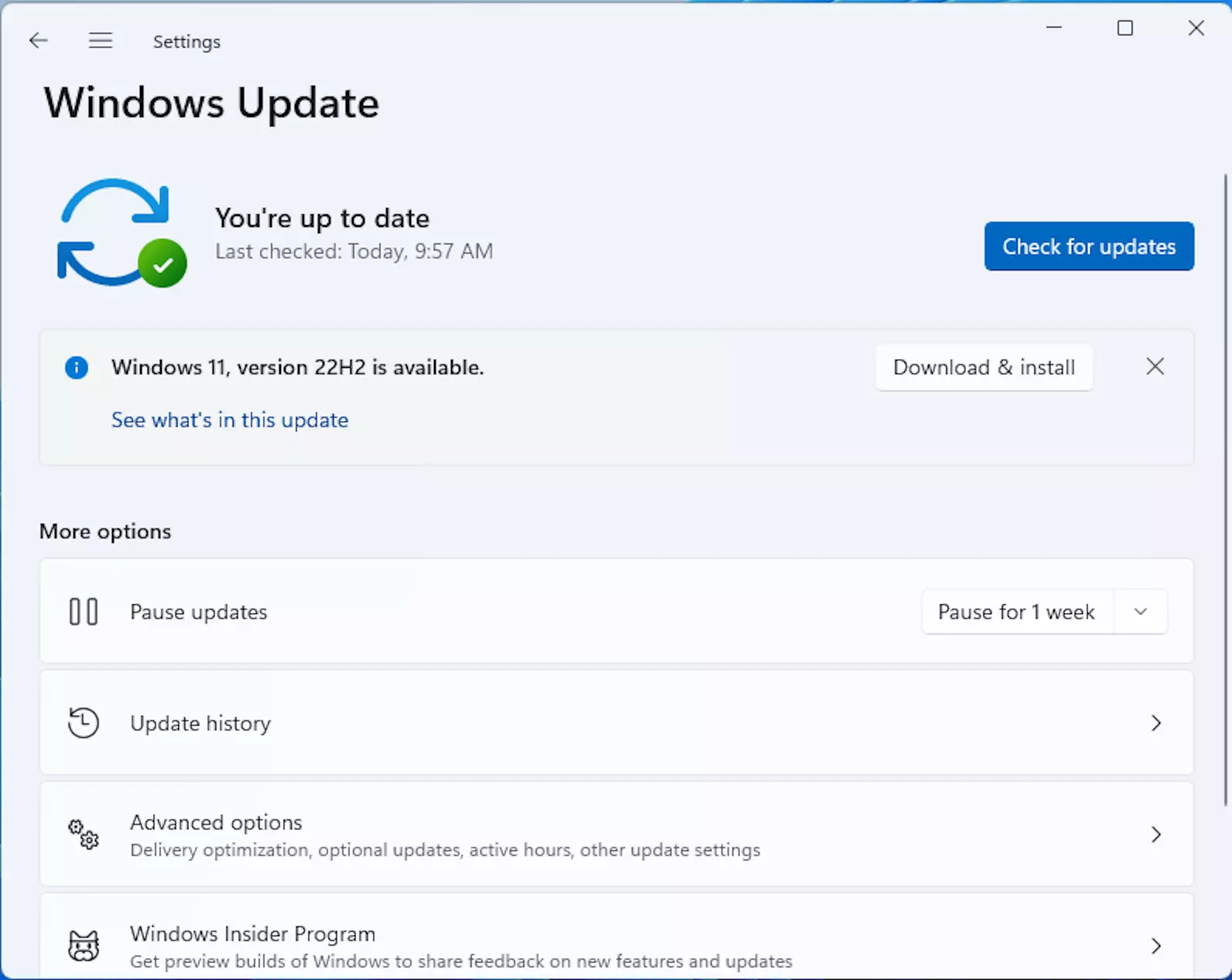 The Windows Update updates all Microsoft 365 products