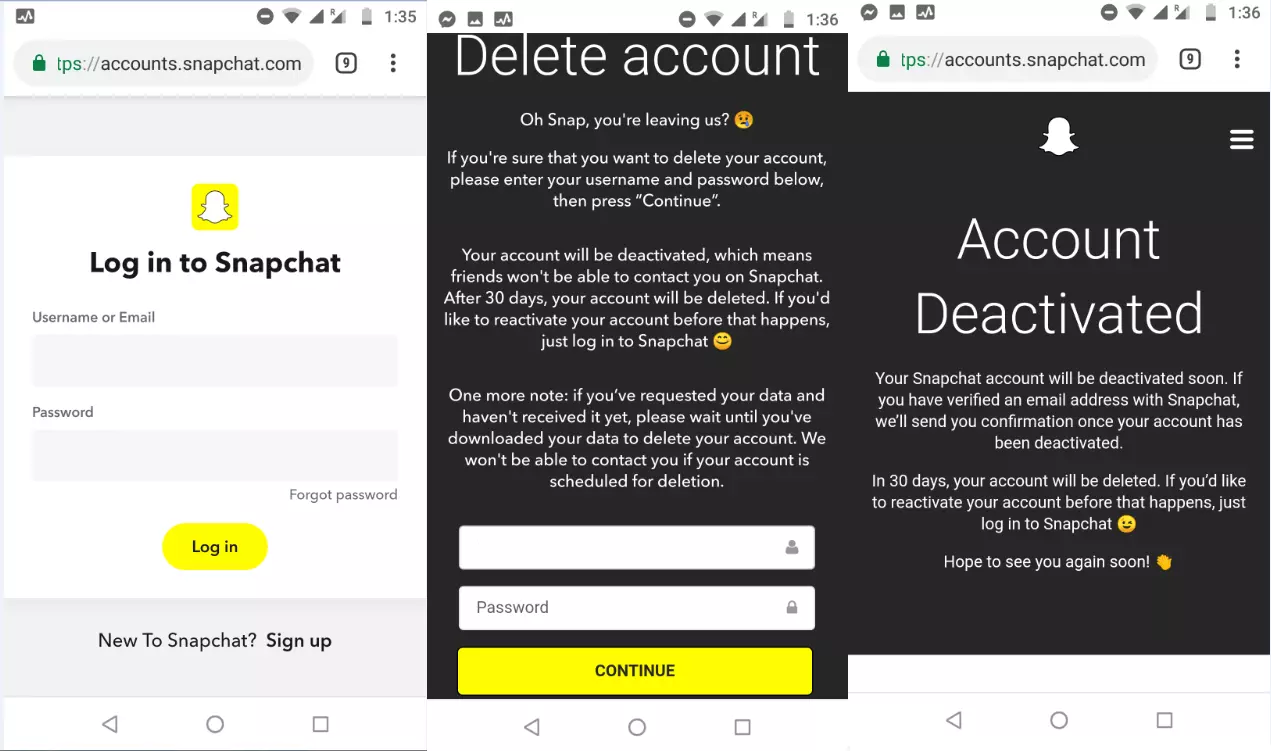 Delete your Snapchat account URL window