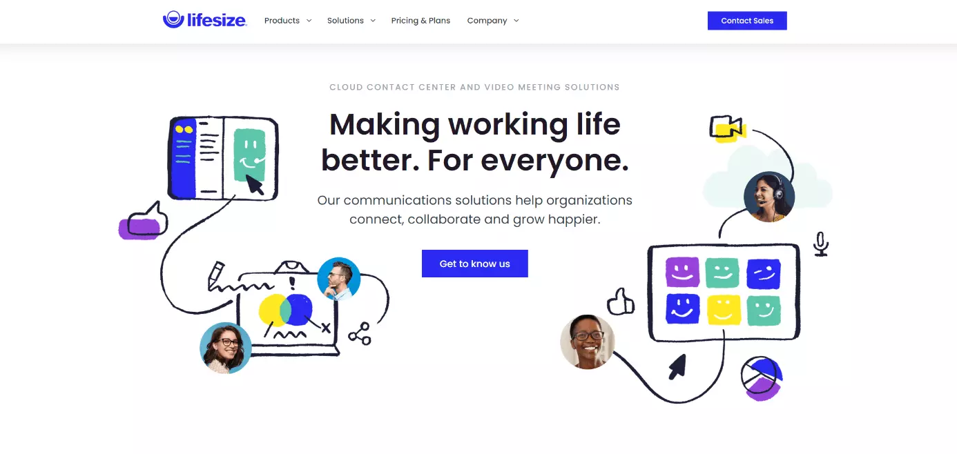 Lifesize website