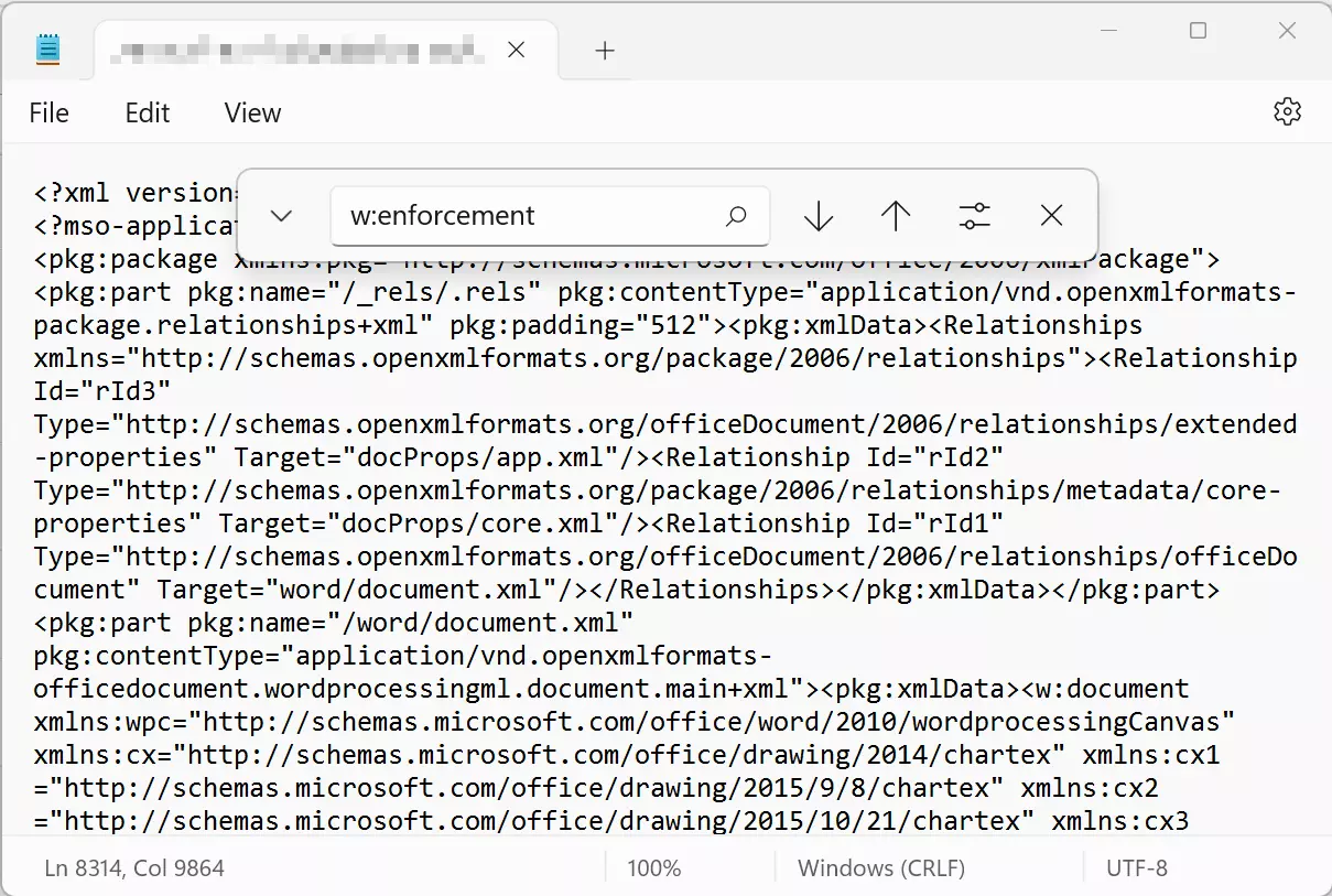 Parameters for document protection in a Word XML document