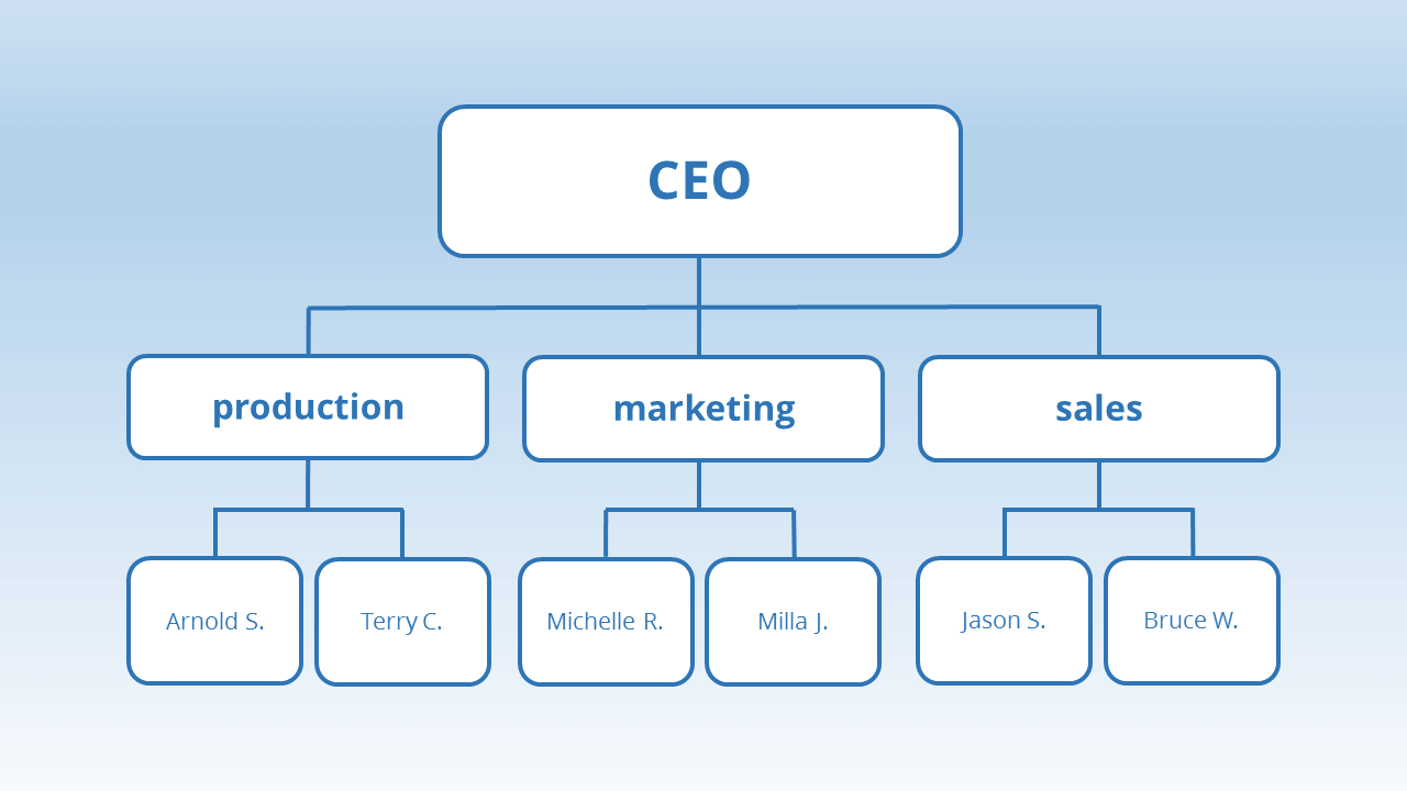 Organisational Structure Southasianmonitor