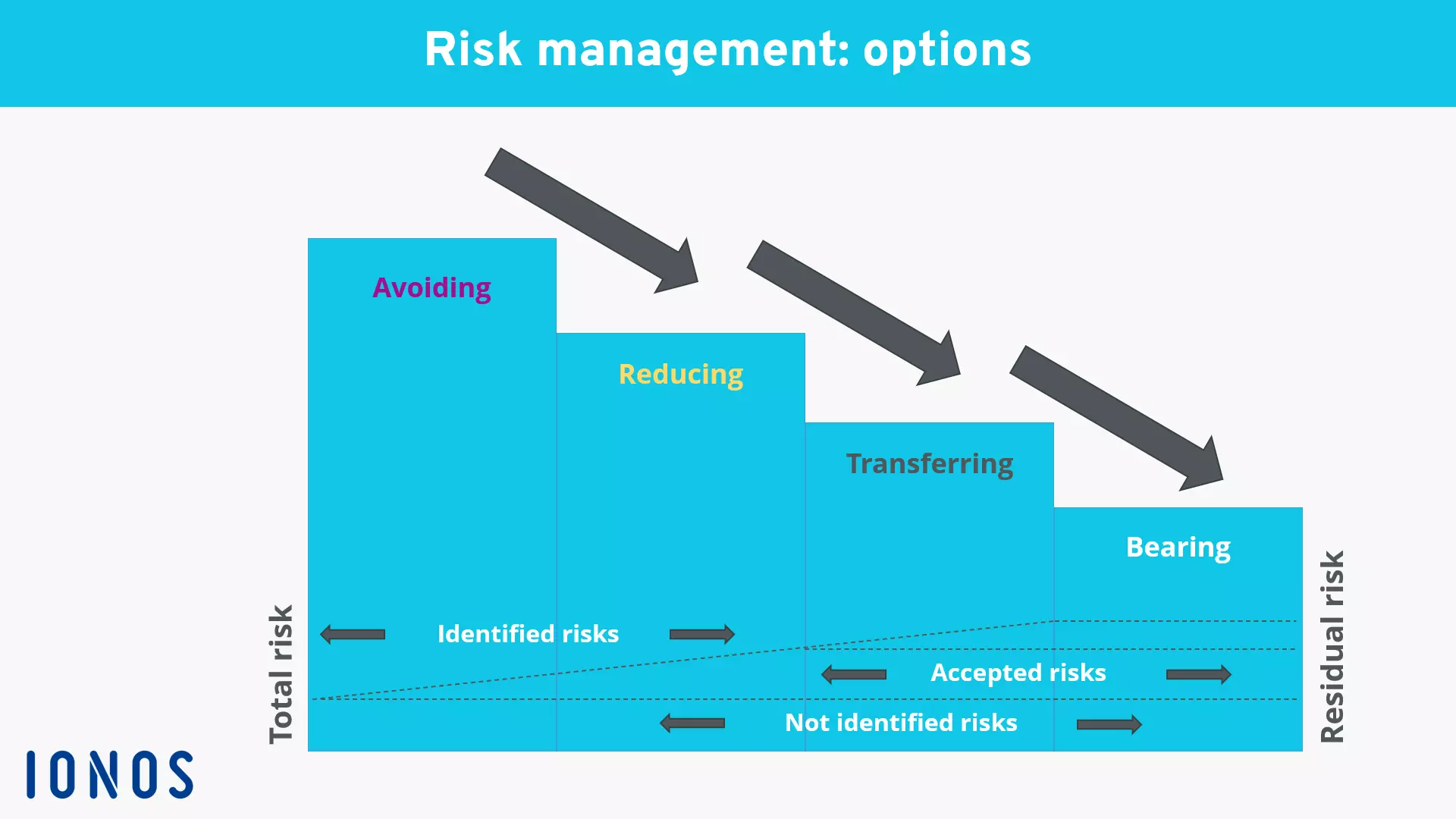 risk-management-options.png